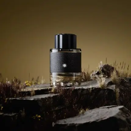 Mont Blanc Explorer