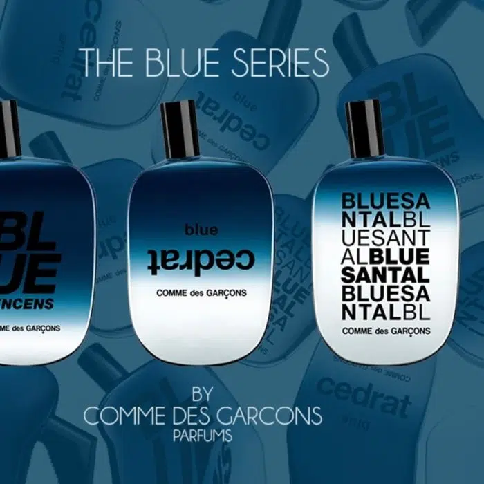 Buy Comme Des Garcons Blue Santal in Tbilisi Get Perfume