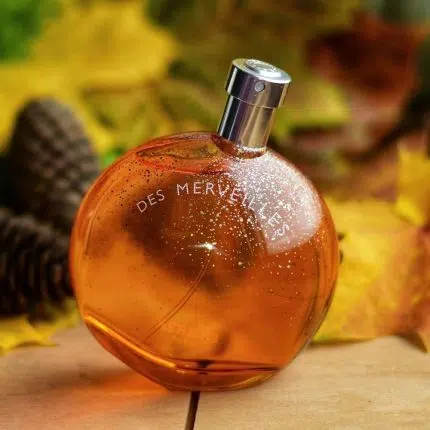 Hermes Eau Des Merveilles